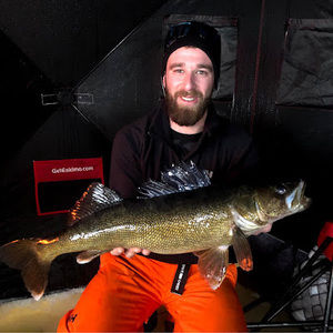 Meet your Posher, Bruno